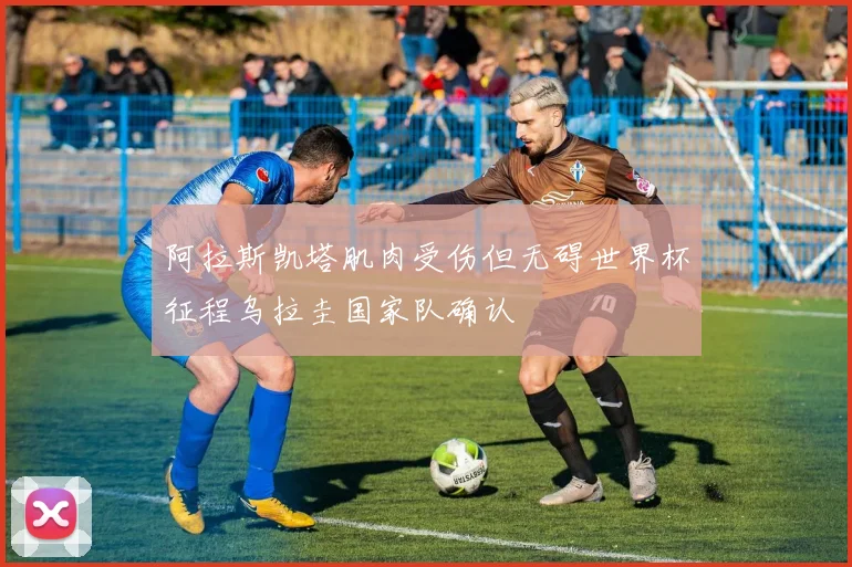 阿拉斯凯塔肌肉受伤但无碍世界杯征程乌拉圭国家队确认
